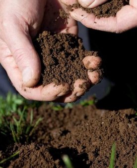 TRATAMIENTO DE SUELOS